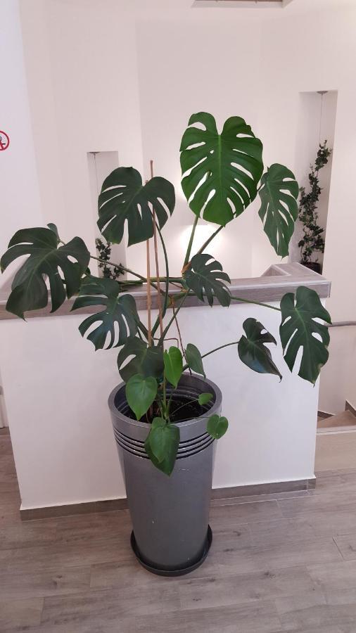 Centar Vodice Apartmani Dış mekan fotoğraf